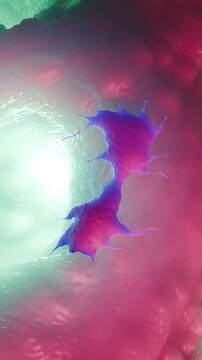Dendritic Cells: Guardians of Immunity