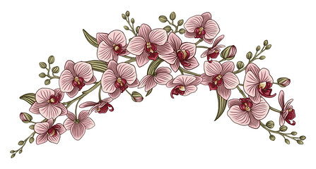Collection of orchid bouquet and leaves. Spring is here. Vector vintage botanical illustration.
