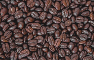 coffee beans background
