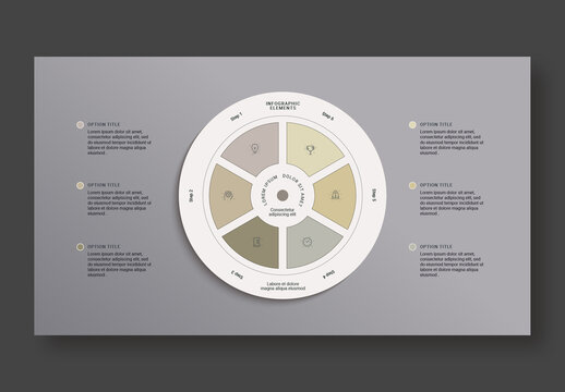 6 Step Workflow Infographic