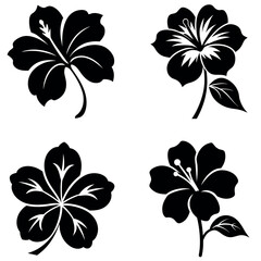 Collection of Black and White Flower Illustrations Hibiscus, Blossom, Simple Design © Vector Stock