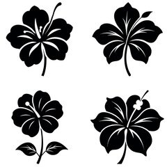 Black Hibiscus Flower Graphics Set Isolated Floral Design Elements for Creative Projects © Vector Stock