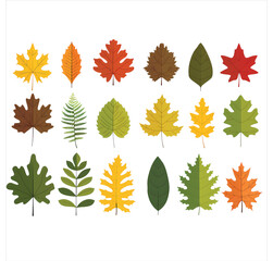 Tree Leaf Illustration Pack - Nature and Forest Elements Clip transparent background