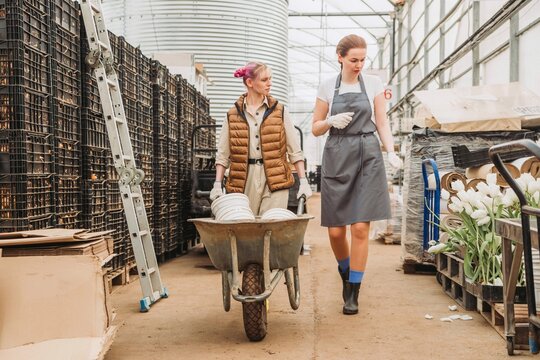 Greenhouse workers in industrial cultivation setting
