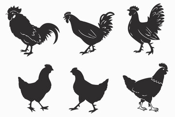 Fototapeta premium vector set of chicken