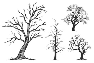 set of trees