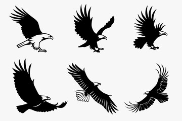 Obraz premium eagle vector set