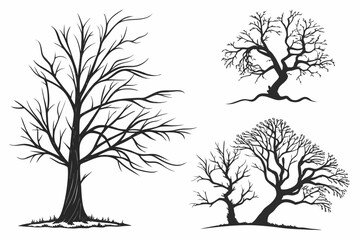 Obraz premium set of trees