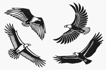 Obraz premium eagle vector illustration