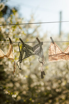 Sunlit lingerie hanging on clothesline outdoors