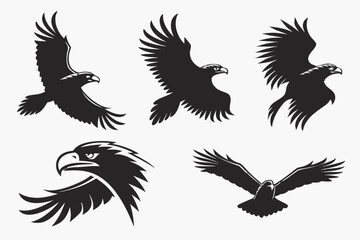 Obraz premium set of eagle