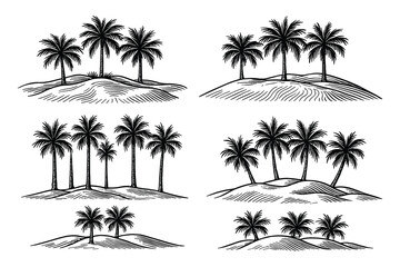 Detailed vector illustration of palm trees on islands. Perfect for tropical beach scene design.