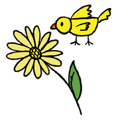 Hand drawn crayon illustration of yellow flower and bird for home decoration, spring, summer, nature, garden, plants, tree, blossom, blooming, picnic, park, house yard, environment, soil, animal