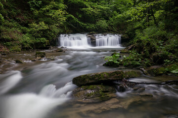 Waterfall in the mountains, river rapids, fast flow, Scenic view of pristine Carpathian nature with crystal clear water cascading over mossy rocks. Photo wallpaper, beauty of nature and the Earth.