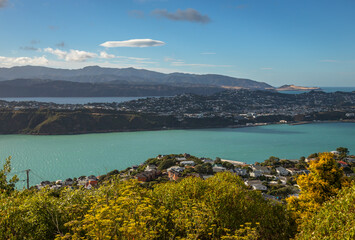 Obraz premium Exposure of New Zealand's Capital Wellington, namely its Central Business District viewed from Mount Victoria, at day time on a beautiful sunny day, Australia