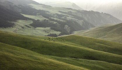 Fototapeta premium mountain landscape with green grass