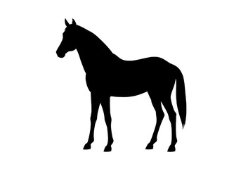 Black Horse Silhouette Standing Side View Vector.
