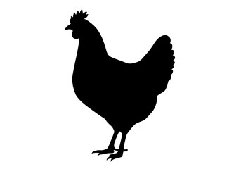 Chicken Silhouette PNG – Transparent Hen Outline Clipart.