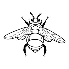 Bee illustration, white isolate background