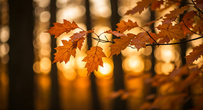 Serene autumn leaves bathed in warm golden sunlight, featuring a tranquil forest glow with details."