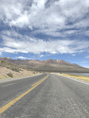 дикая природа