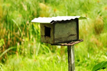 Bird house perched in a large pond in south, Trinidad and Tobago date May 17 2025.