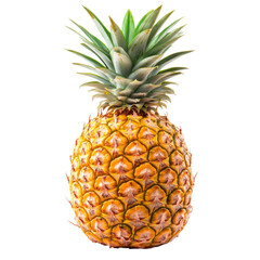 Fresh ripe pineapple with green leaves and textured skin isolated on white transparent background, cutout PNG