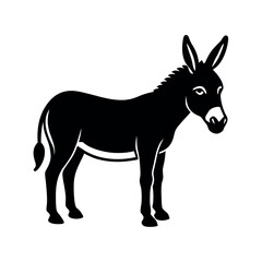 donkey isolated on white background