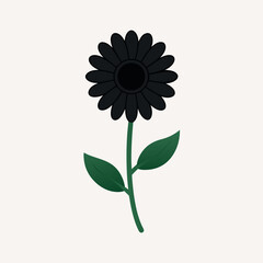 daisy flower vector 