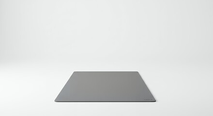 Gray rectangular rug on white background