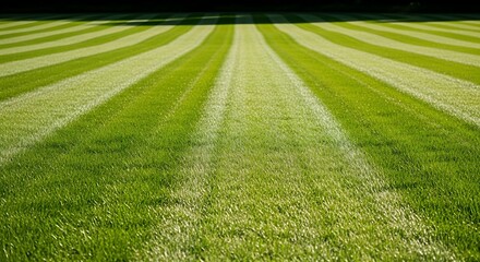 Perfectly striped green lawn showing beautiful patterns with grass and shadow effects