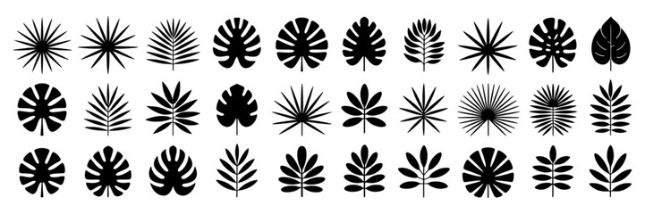 Collection of Tropical Plant Leaves Silhouettes Diverse Shapes & Styles for Design Projects