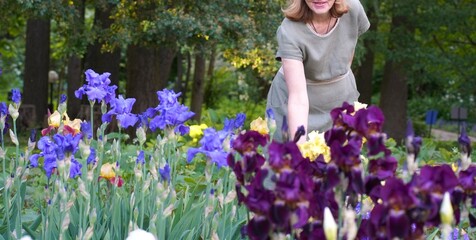 Happy woman florist standing near flower bed with colorful flowering irises in ornamental plant nursery in summer as botanical garden landscaping concept in summer