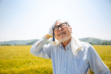 熱中症、農業、暑さに苦しむ日本人シニア男性　