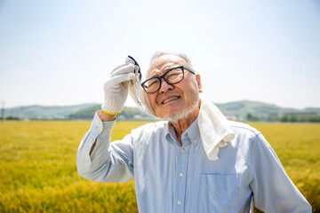 熱中症、農業、暑さに苦しむ日本人シニア男性　