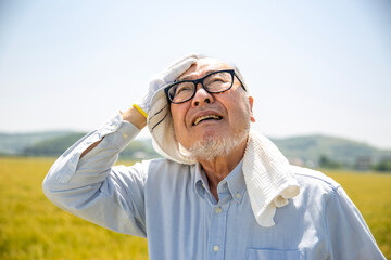 熱中症、農業、暑さに苦しむ日本人シニア男性　