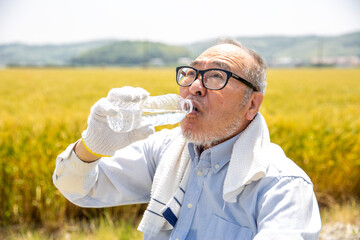 休憩する農家の男性、日本人シニア、水分補給