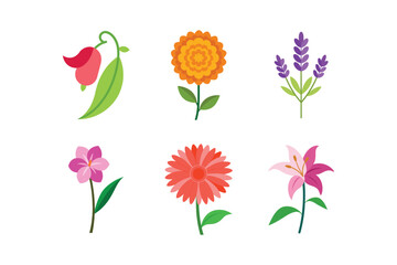 Spring Flowers Vector Illustration Set