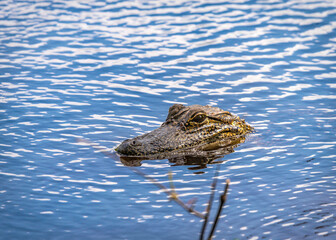 Come on in. The water is fine.