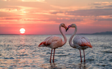 Fototapeta premium Romantic Flamingo Couple Forming Heart Shape at Sunset Over Sea