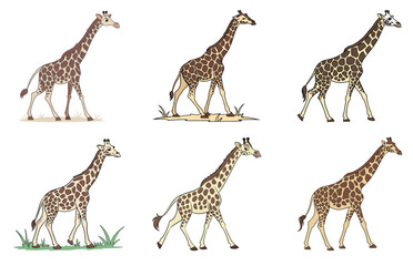 Giraffes Vector Clipart Cute Flat Giraffe Illustrations for Jungle, Safari, Kids, and Animal Designs
