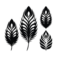Obraz premium Set of Peacock feather Silhouette vector Design.