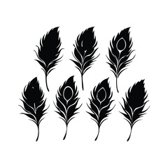 Obraz premium Set of Peacock feather Silhouette vector Design.