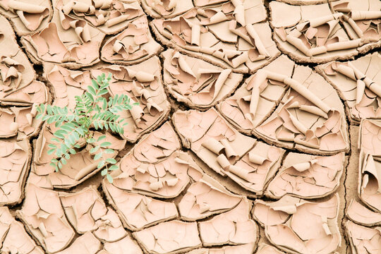 Abiquiu, New Mexico, United States. Dried clay during drought season.
