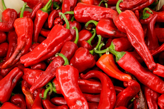 Santa Fe, New Mexico, United States. Red chili peppers drying out