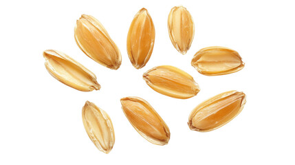 Obraz premium Organic peeled spelt grains healthy whole ancient cereal food ingredient isolated on white background