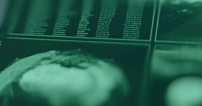 Interpol Database and Earth Globe Network illustration