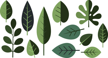 Various Green Leaves Vector Illustration with Different Shapes and Sizes for Nature Design 