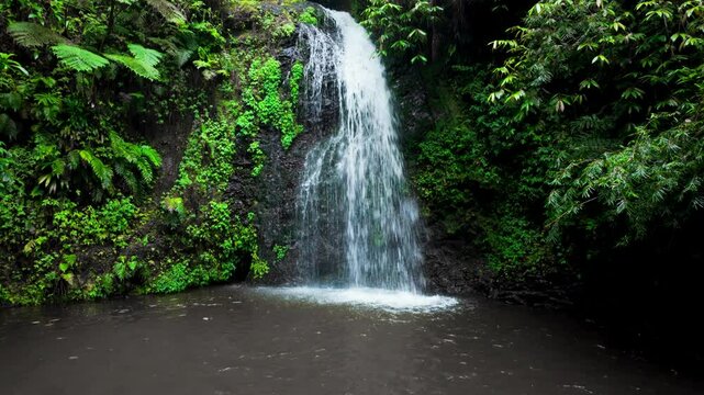 Le SDG waterfall in Martinique, France with slow camera uplift. The Saut du Gendarme waterfall is a splendid tourist spot in Martinique.