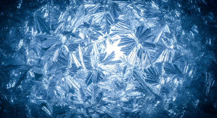 Obraz premium Frozen Fractals Dance: A Microscopic Exploration of Winter's Art